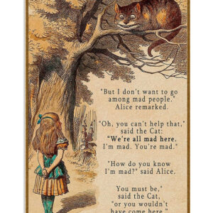 Books Lover But I Dont Want To Go Among Mad People Books Reader Poster