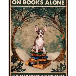 Chihuahua Woman Loves Books And Dog Poster