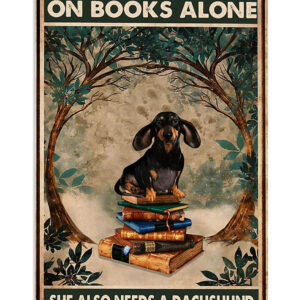 Dachshund Woman Loves Book And Dachshund Puppies Lover Poster